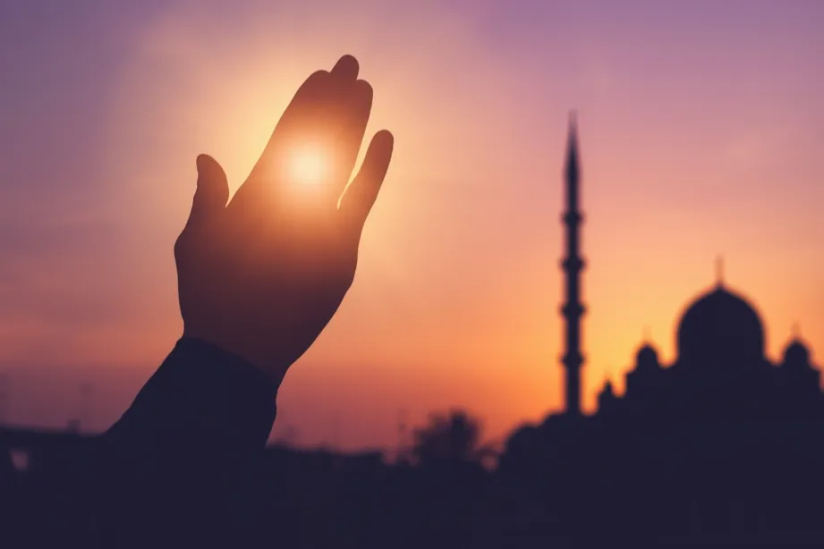 مشروع إعادة تأهيل وتجهيز المطاعم والفنادق المتضررة